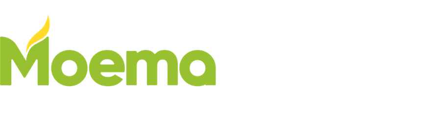 Moema Gramacho, Deputada Federal, 1513